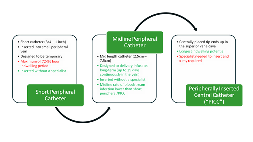 Comparison of Peripheral Catheters